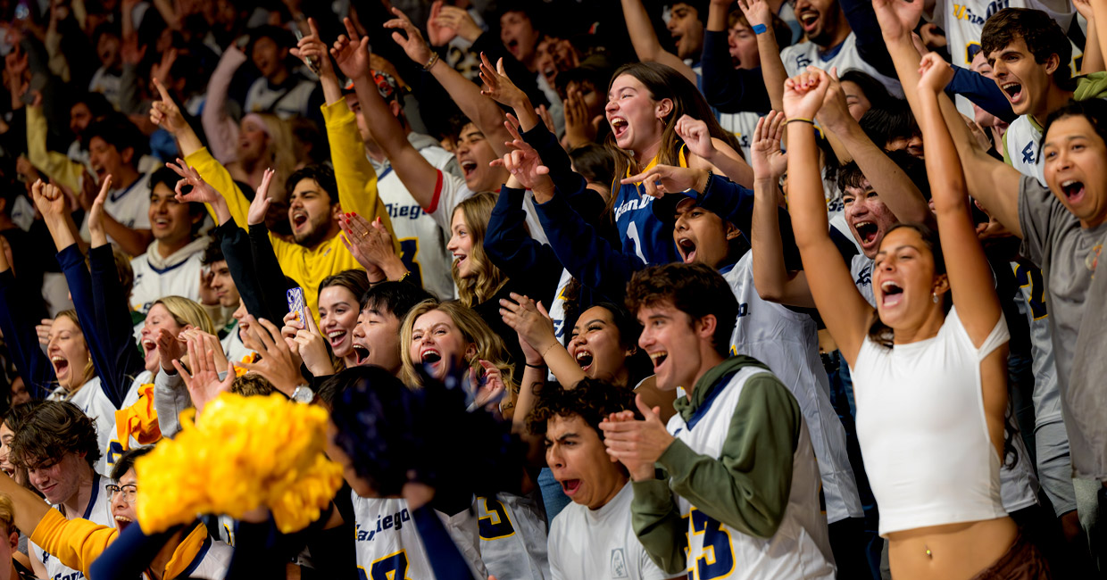 Basketball crowd cheering