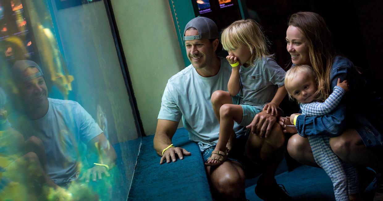 Mother and father holding two kids looking at a large aquarium